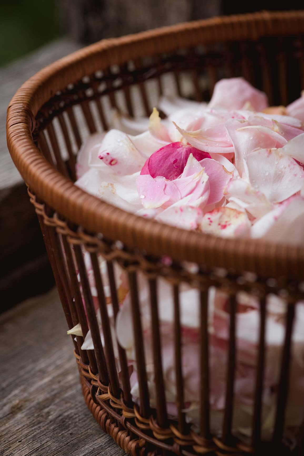 Morimont-2021-photo-fancypants-323